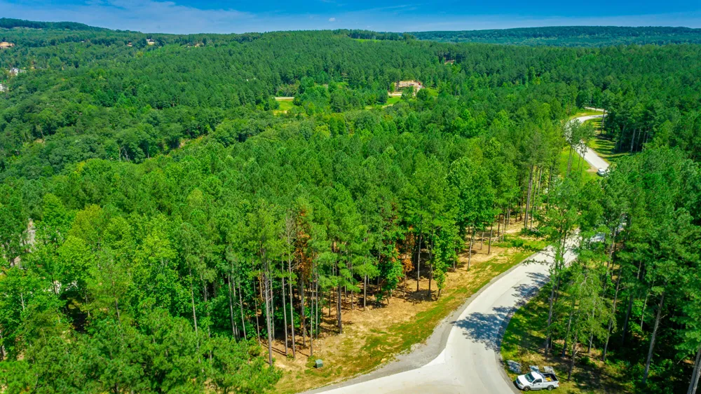 Birds Eye Way Guild, TN 37340