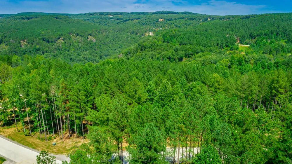 Birds Eye Way Guild, TN 37340