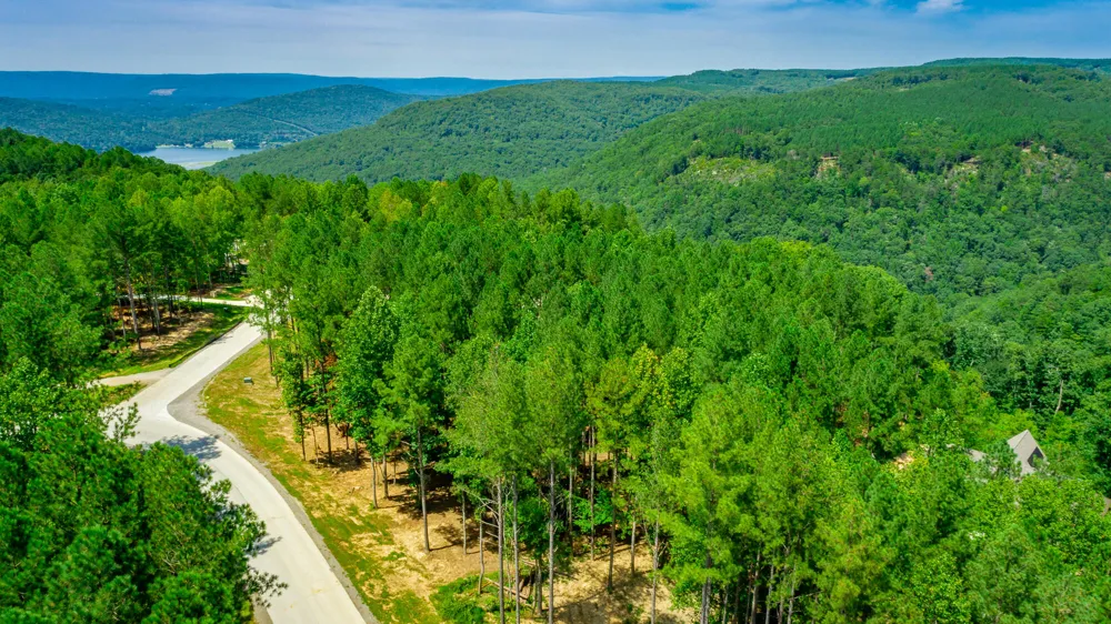 Birds Eye Way Guild, TN 37340