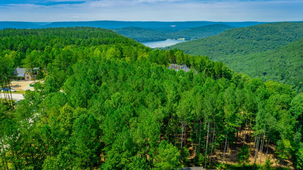 Birds Eye Way Guild, TN 37340