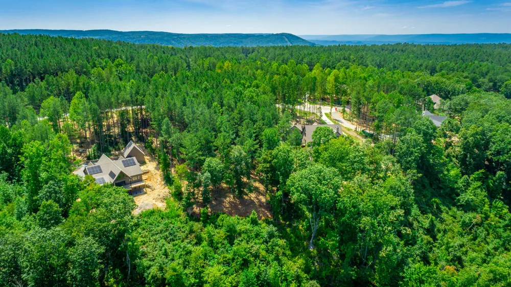 Birds Eye Way Guild, TN 37340