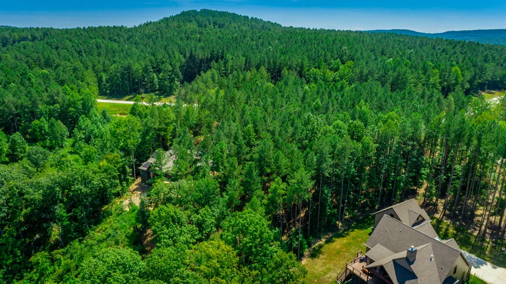 Birds Eye Way Guild, TN 37340