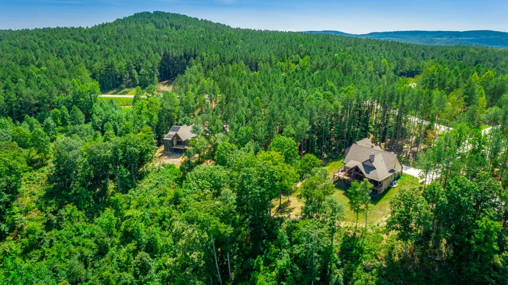 Birds Eye Way Guild, TN 37340