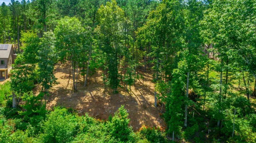 Birds Eye Way Guild, TN 37340