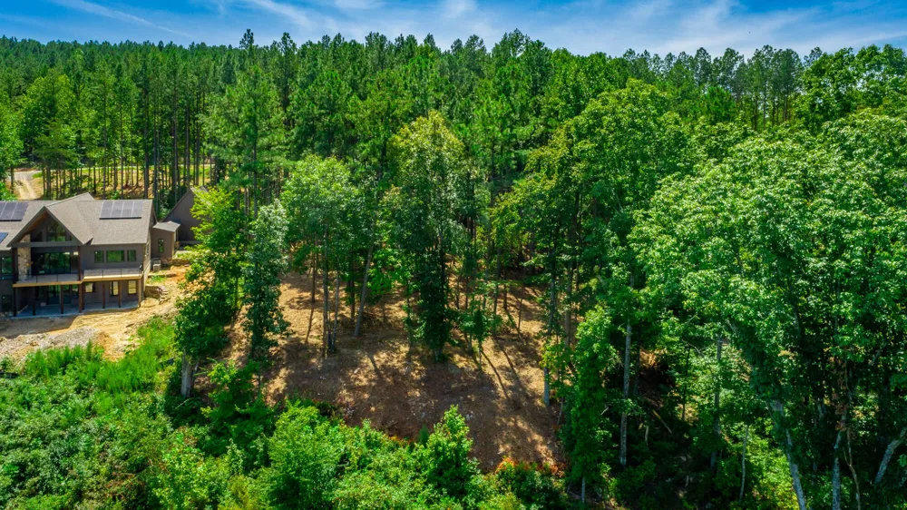 Birds Eye Way Guild, TN 37340
