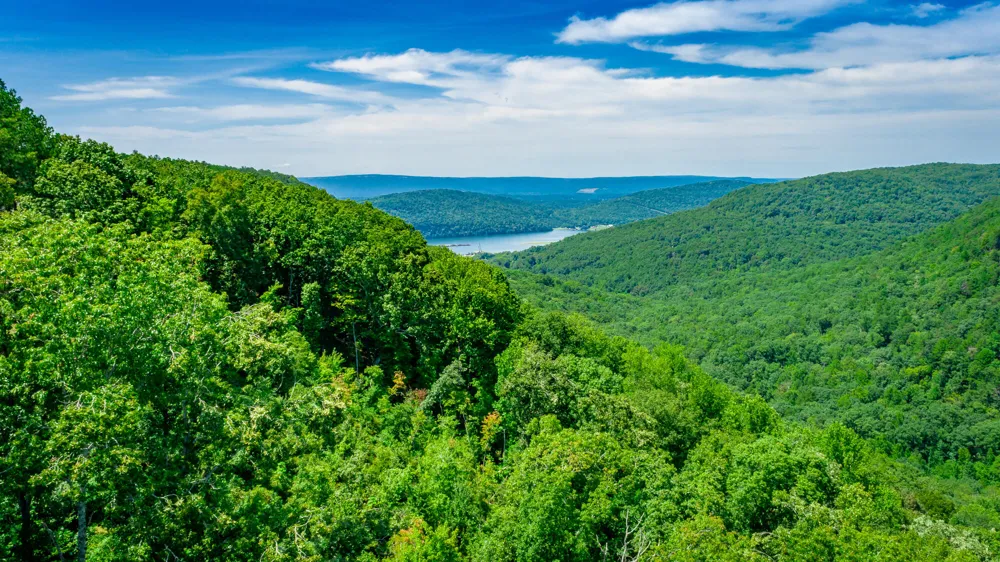 Birds Eye Way Guild, TN 37340