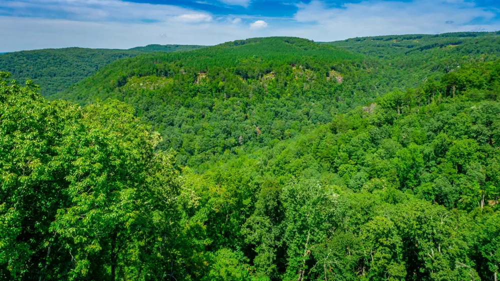 Birds Eye Way Guild, TN 37340