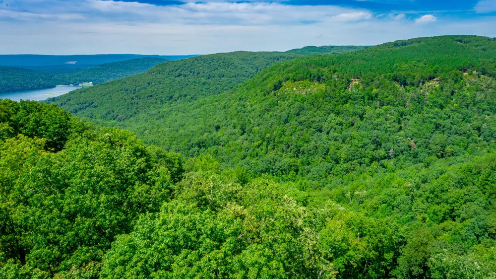 Birds Eye Way Guild, TN 37340