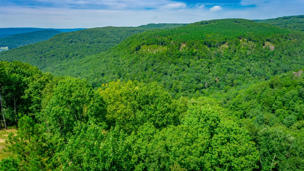 Birds Eye Way Guild, TN 37340