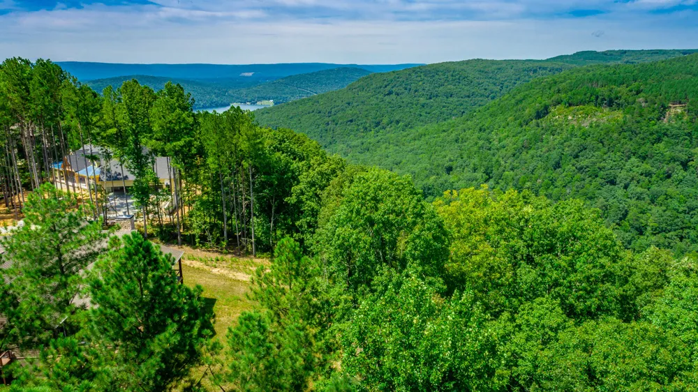 Birds Eye Way Guild, TN 37340