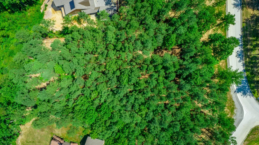 Birds Eye Way Guild, TN 37340