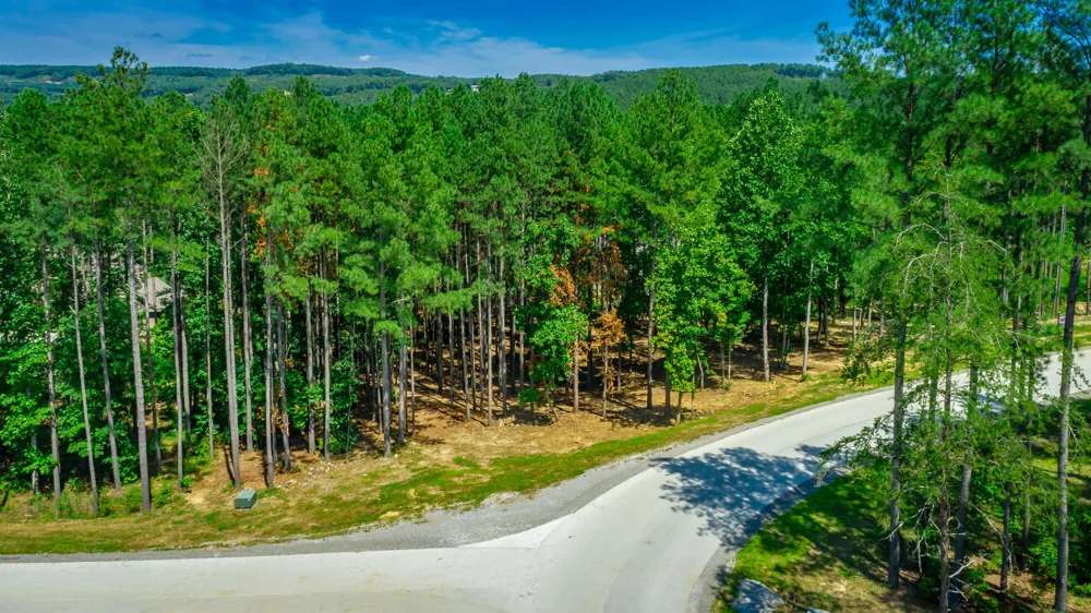 Birds Eye Way Guild, TN 37340