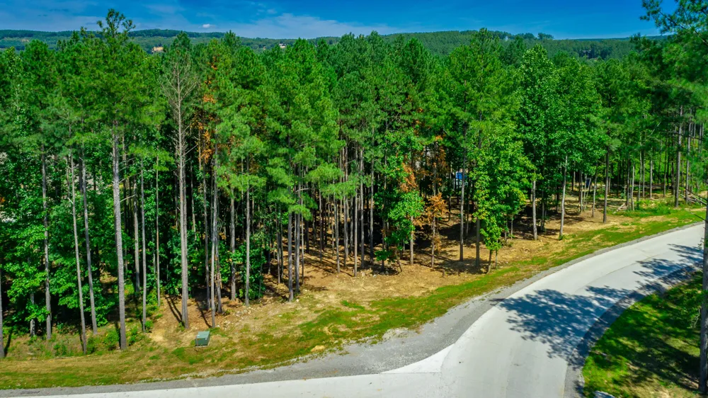 Birds Eye Way Guild, TN 37340
