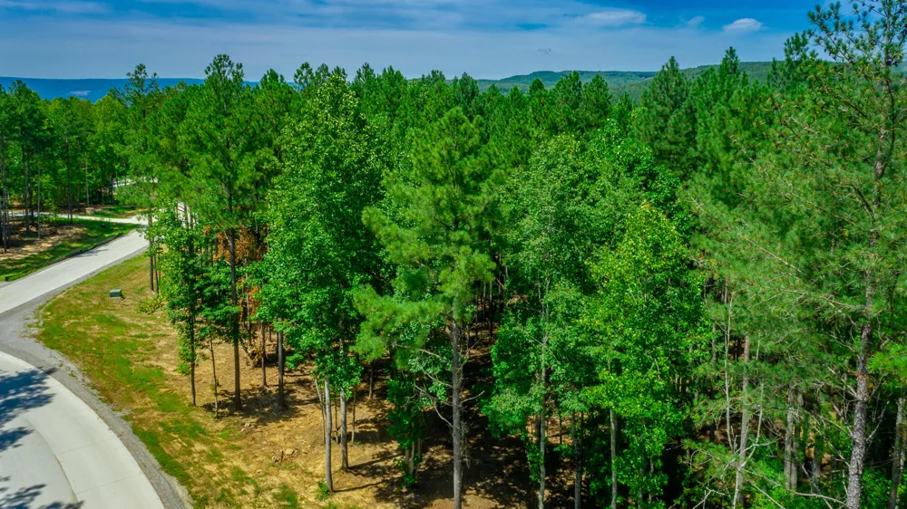 Birds Eye Way Guild, TN 37340