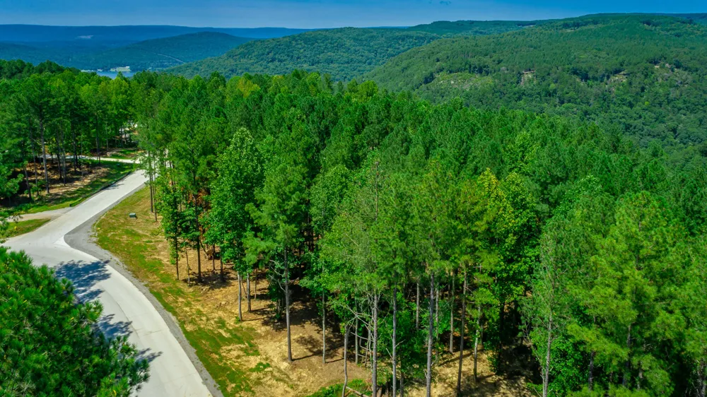 Birds Eye Way Guild, TN 37340