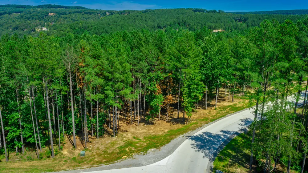 Birds Eye Way Guild, TN 37340