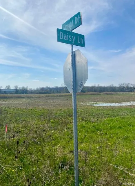 5 DAISY LANE Almont Township, MI 48003
