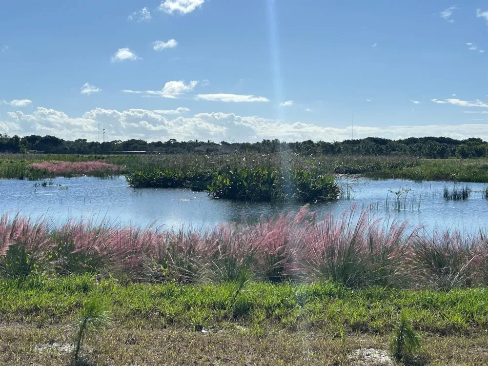 12768 Westhampton Circle Wellington, FL 33414
