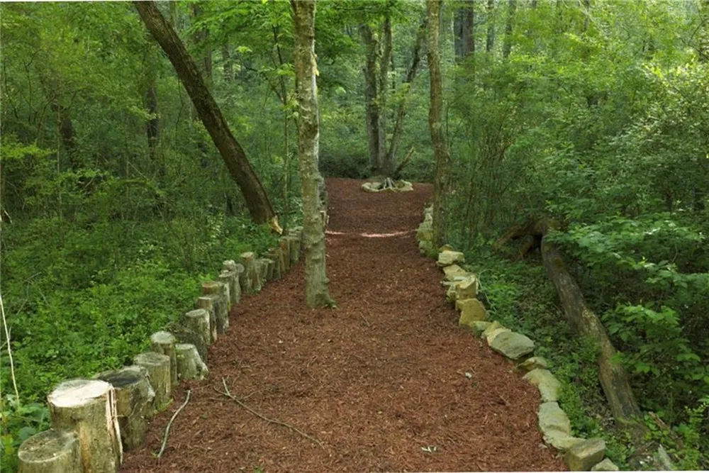 138 Rhondas Way Ellijay, GA 30540