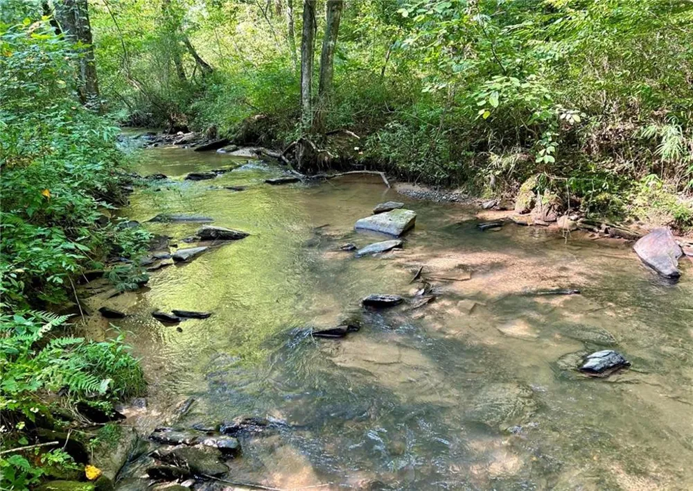 138 Rhondas Way Ellijay, GA 30540