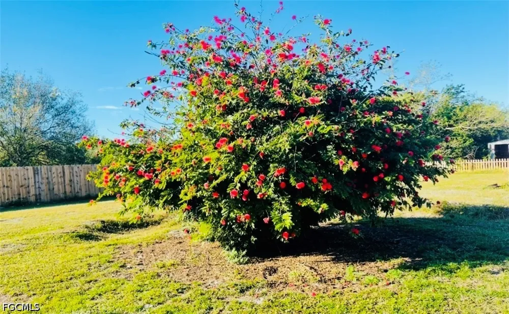 Trader Road Fort Denaud, FL 33935
