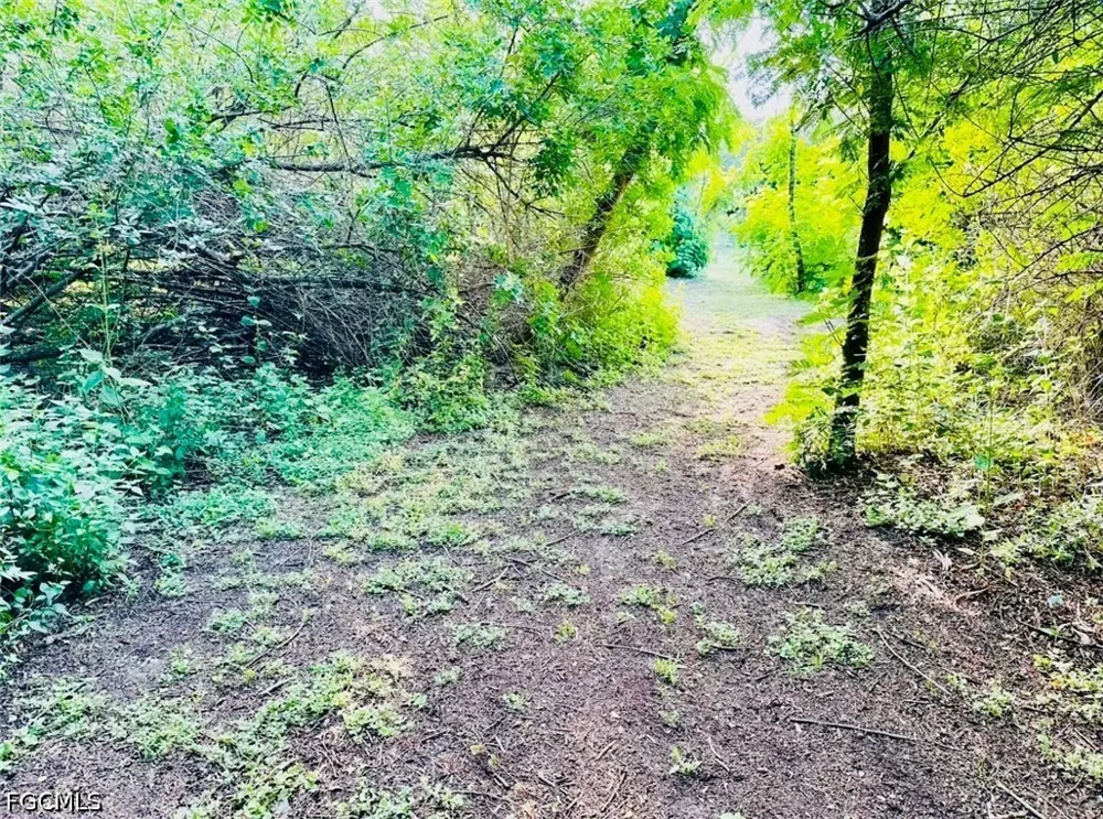 Trader Road Fort Denaud, FL 33935