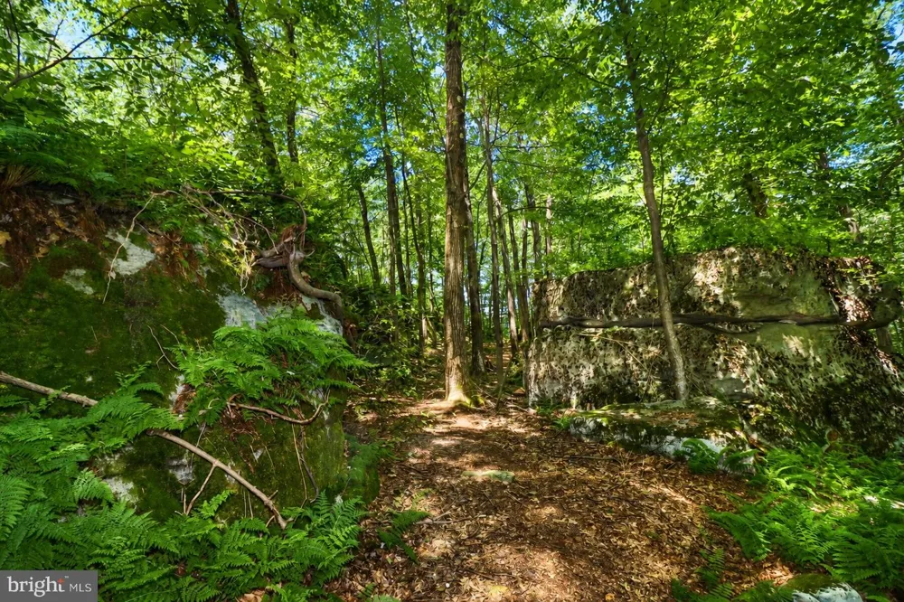 DEEP CREEK HIGHLANDS ROAD Mc Henry, MD 21541