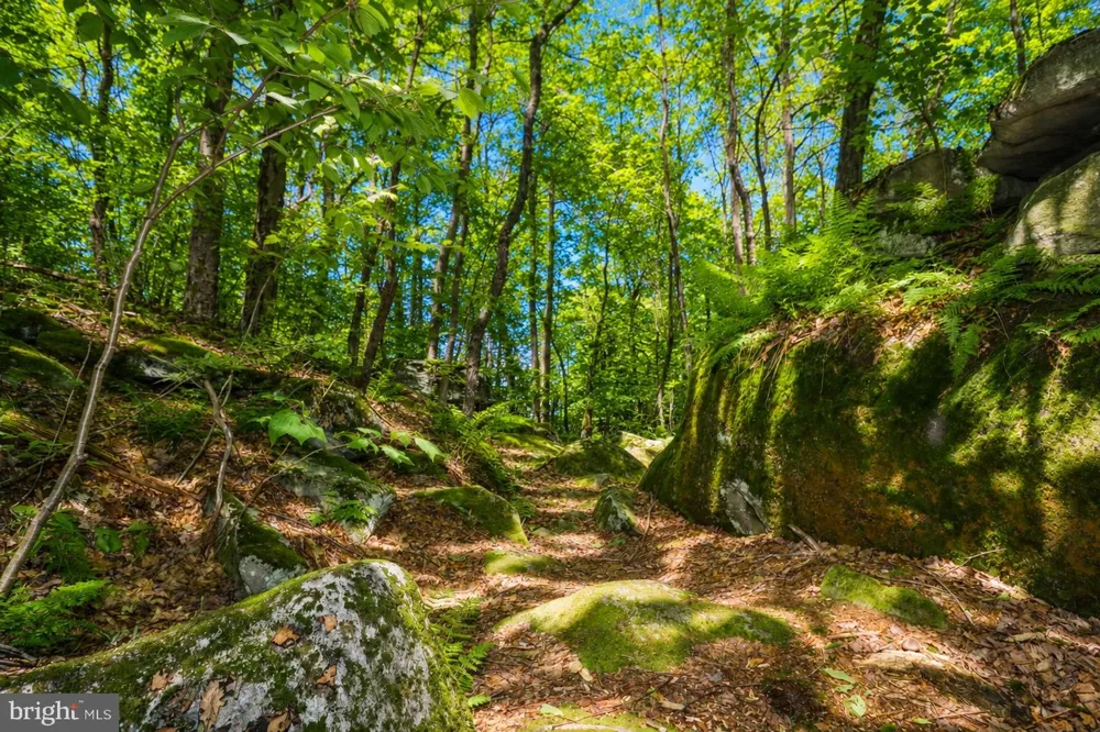 DEEP CREEK HIGHLANDS ROAD Mc Henry, MD 21541
