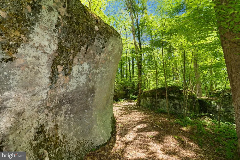 DEEP CREEK HIGHLANDS ROAD Mc Henry, MD 21541