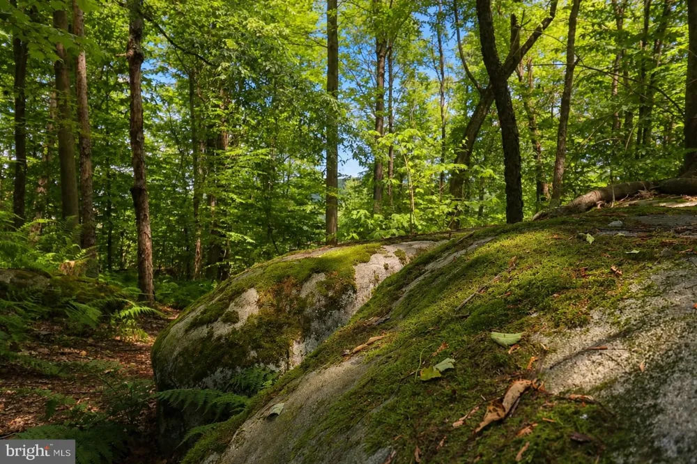 DEEP CREEK HIGHLANDS ROAD Mc Henry, MD 21541