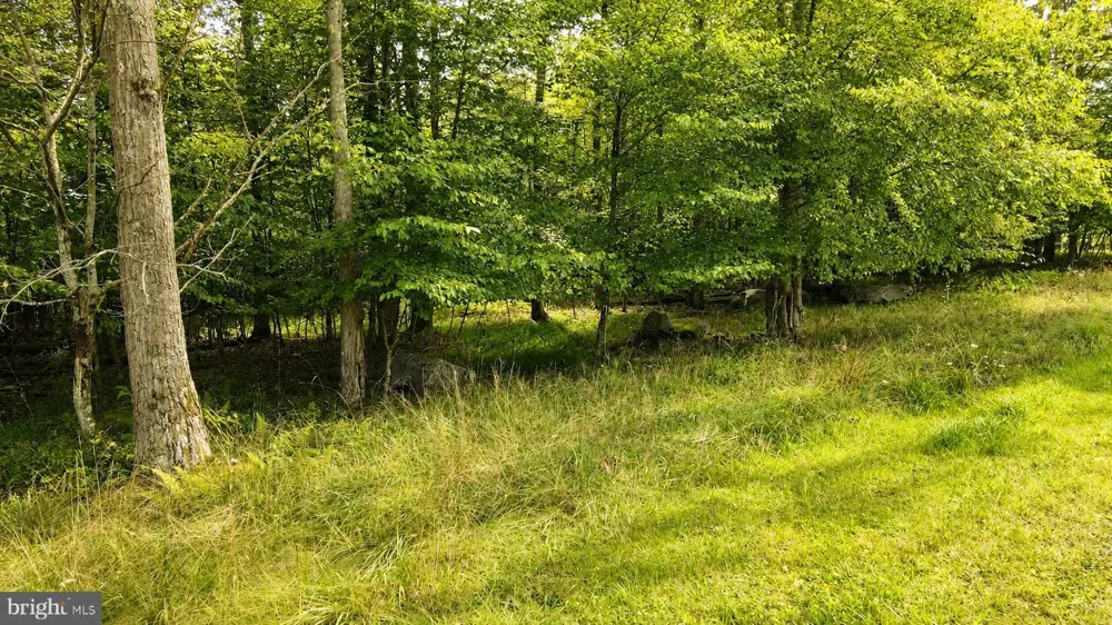 DEEP CREEK HIGHLANDS ROAD Mc Henry, MD 21541
