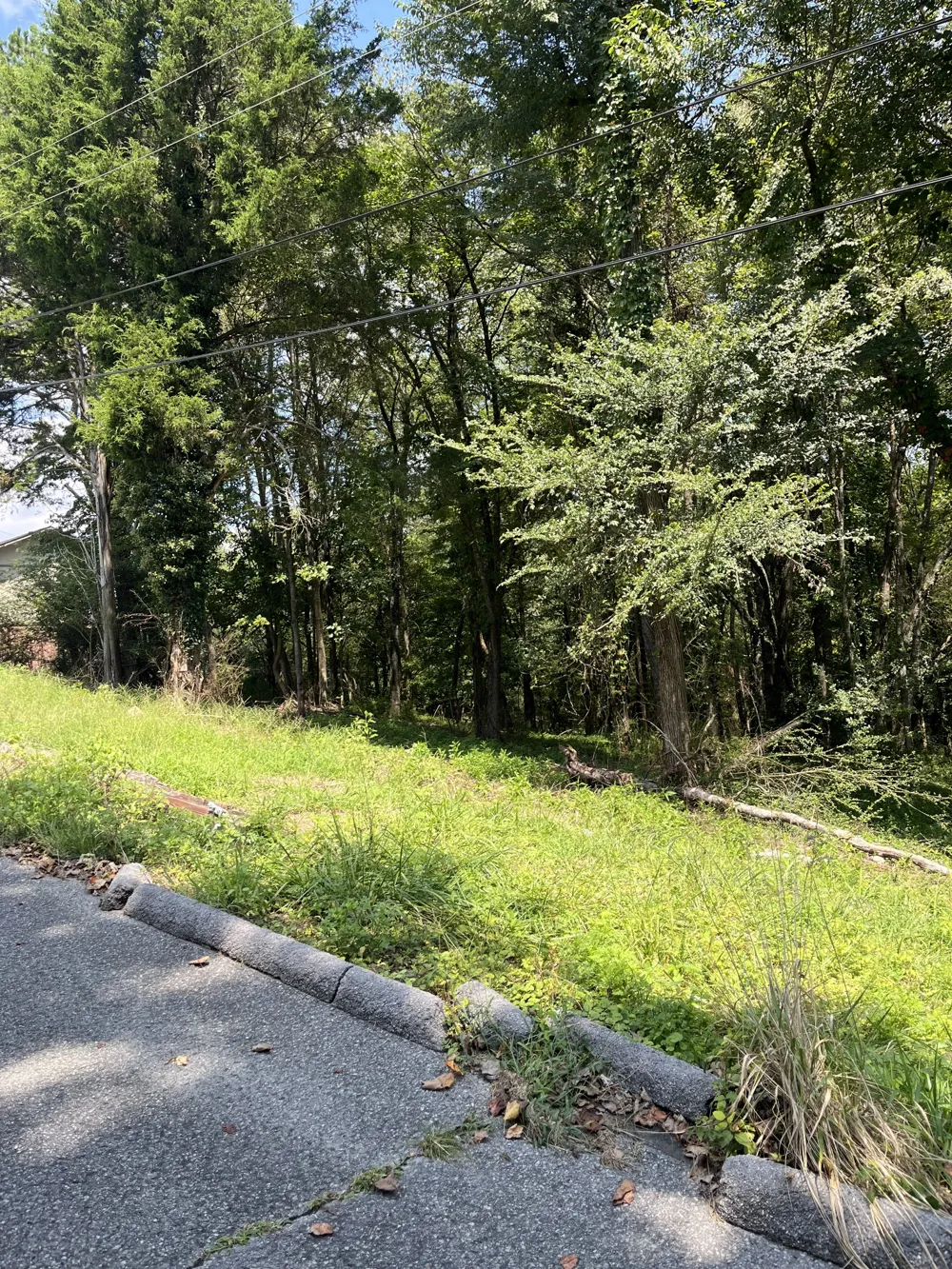 0 Sierra Drive Dayton, TN 37321