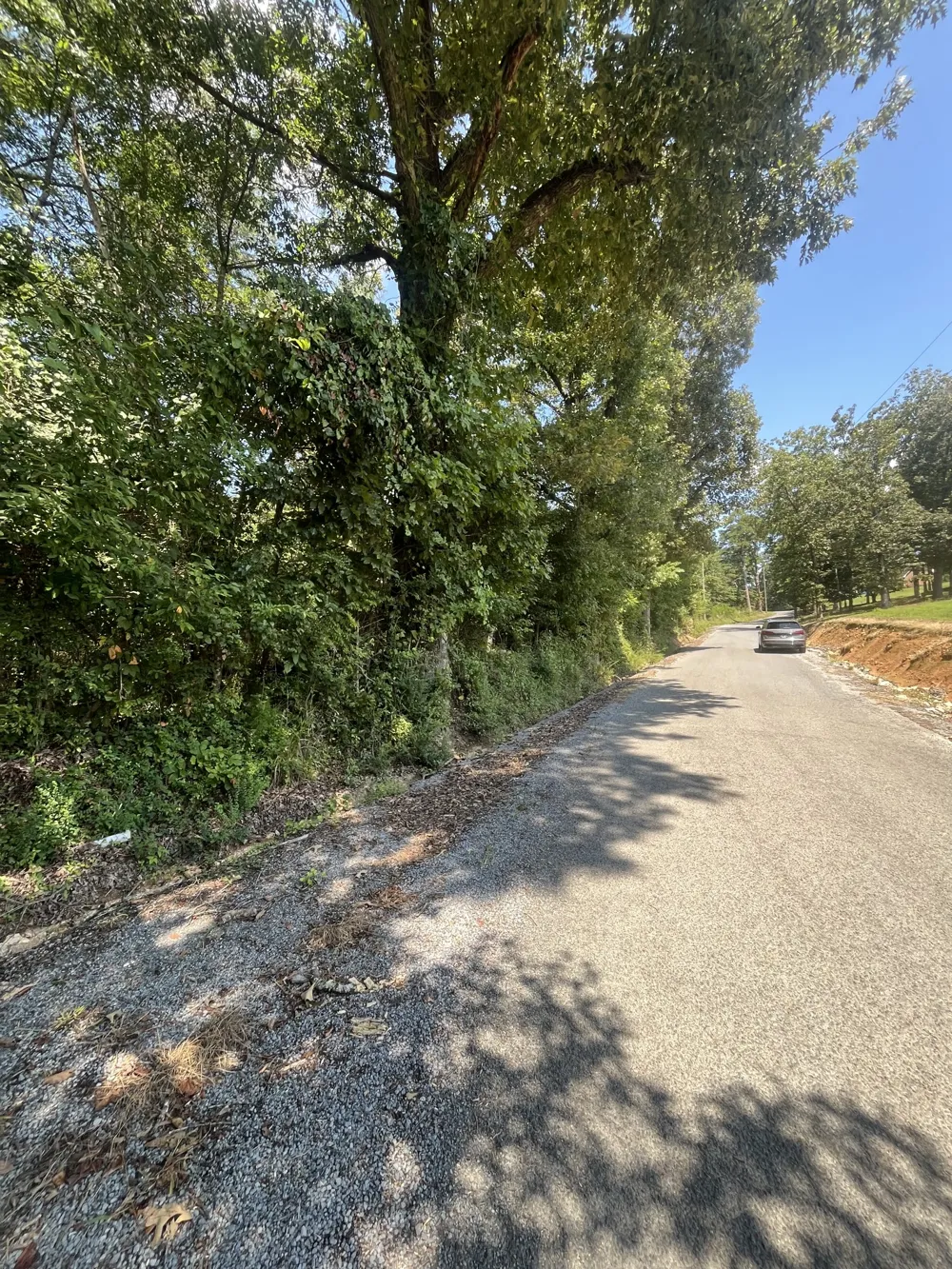 0 Sierra Drive Dayton, TN 37321