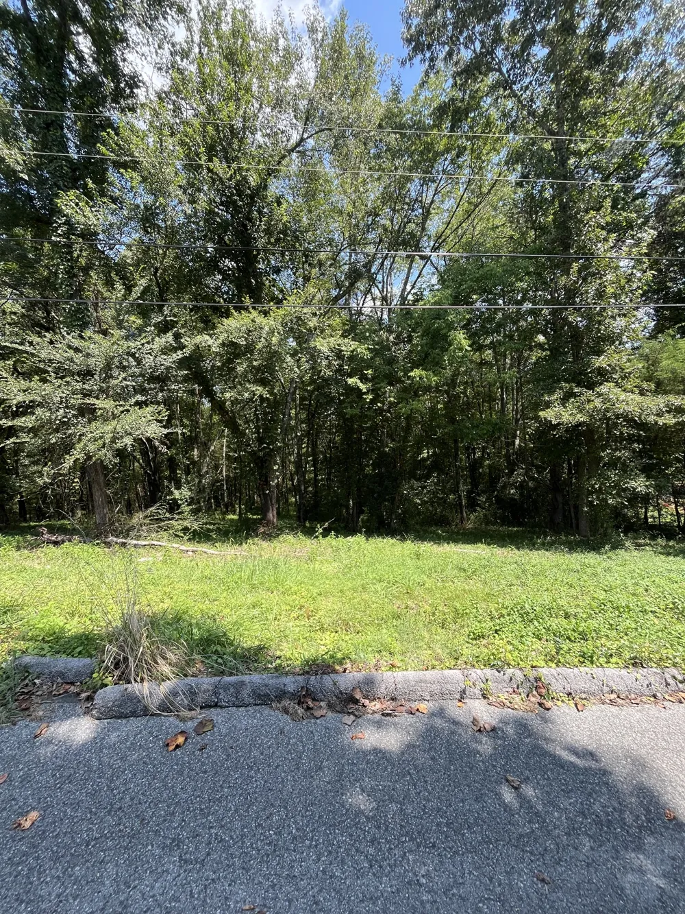 0 Sierra Drive Dayton, TN 37321