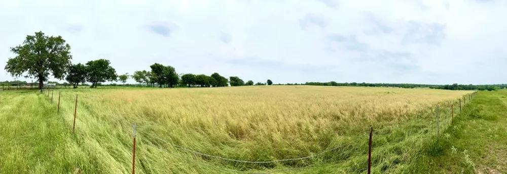 1179 County Road 1990 Chico, TX 76431