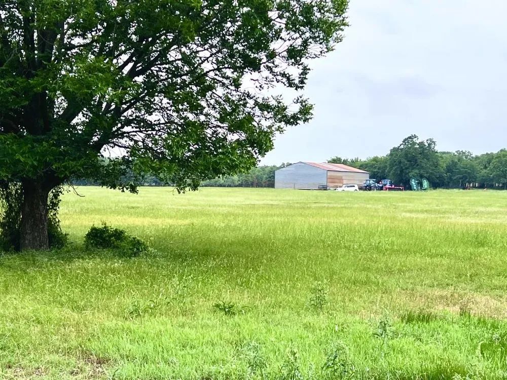 1179 County Road 1990 Chico, TX 76431