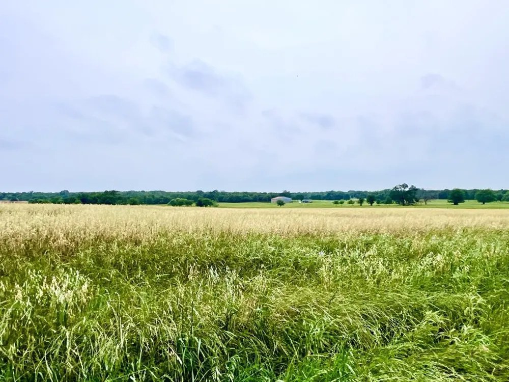 1179 County Road 1990 Chico, TX 76431