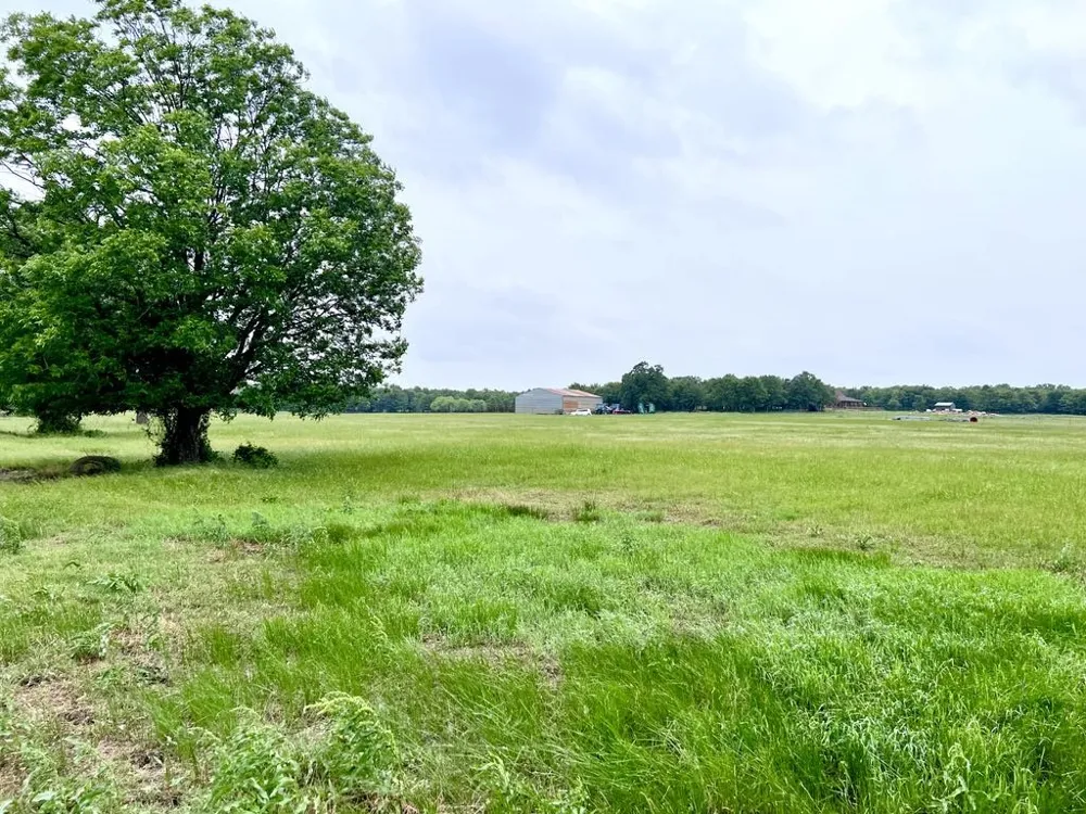 1179 County Road 1990 Chico, TX 76431