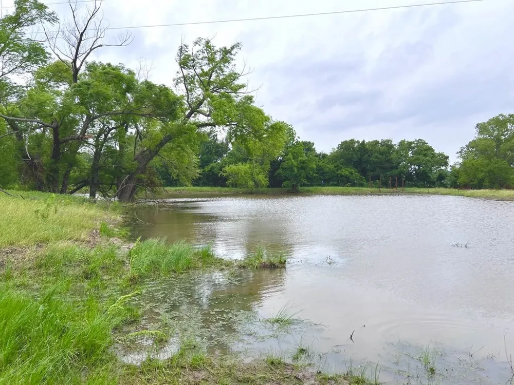 1179 County Road 1990 Chico, TX 76431