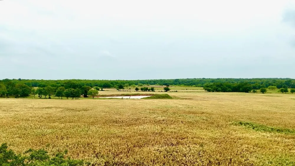 1179 County Road 1990 Chico, TX 76431