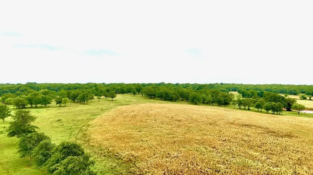 1179 County Road 1990 Chico, TX 76431