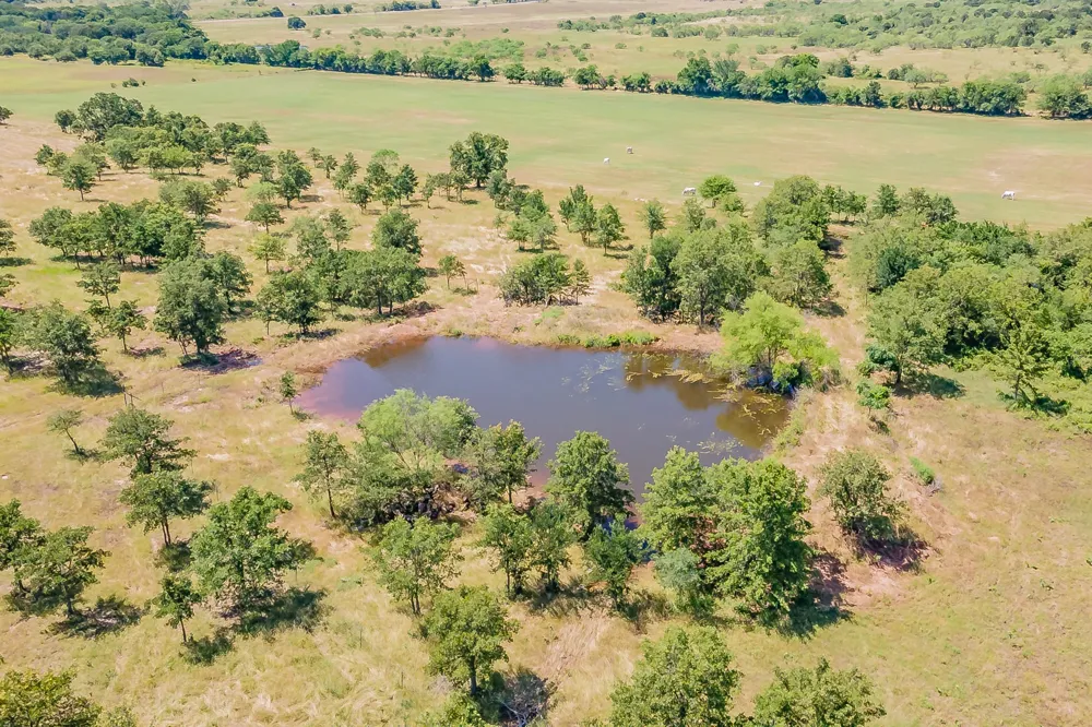 1179 County Road 1990 Chico, TX 76431