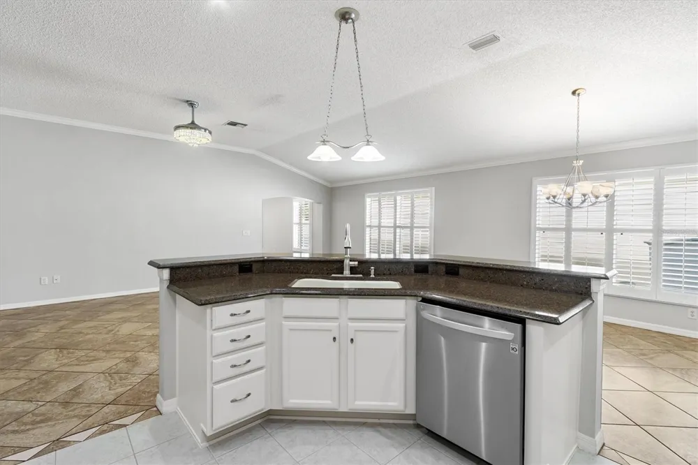 1068 BURNETTOWN PLACE The Villages, FL 32162