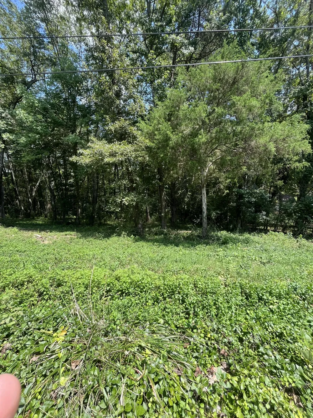 Sierra Drive Dayton, TN 37321