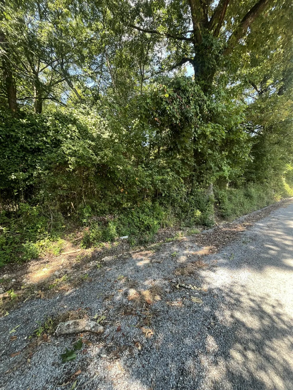Sierra Drive Dayton, TN 37321