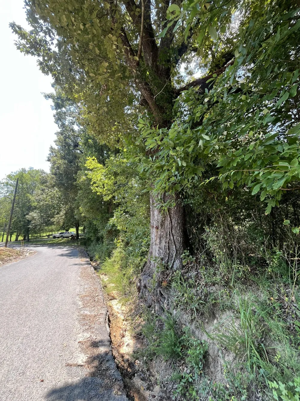 Sierra Drive Dayton, TN 37321