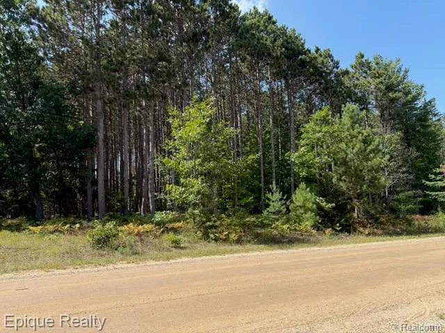 10399 85th Ave Morton Township, MI 49332