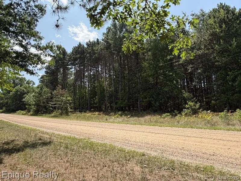 10399 85th Ave Morton Township, MI 49332