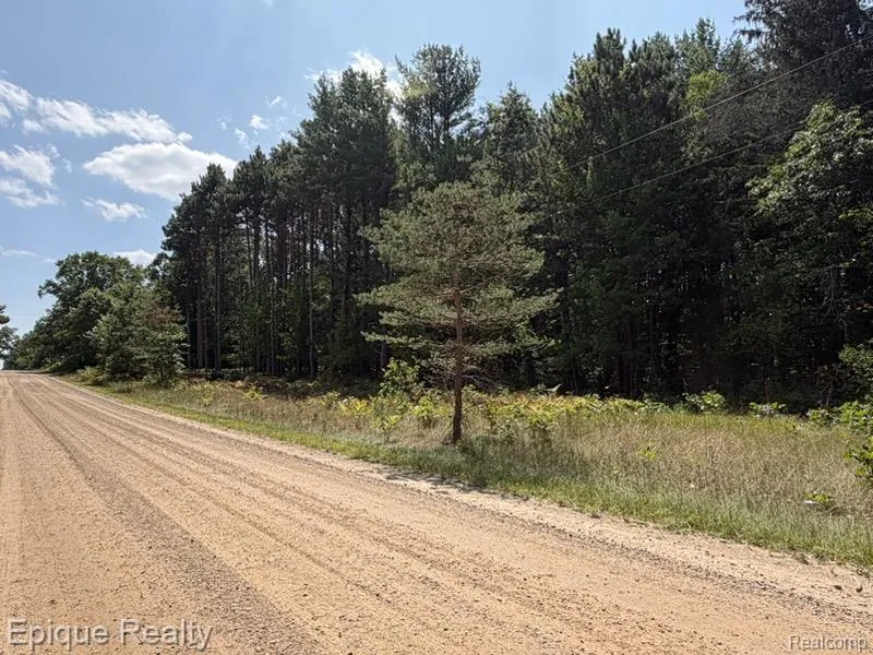 10399 85th Ave Morton Township, MI 49332