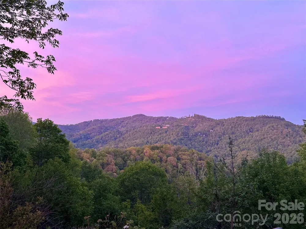 1185 Black Bear Drive Mars Hill, NC 28754